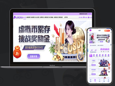 美盛极光包网模板演示