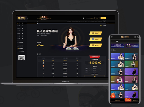 美盛K8包网模板演示